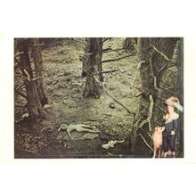 Joseph Cornell Sorrows Of Young Werther Painting Postcard