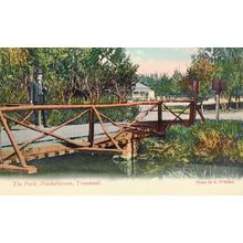 Old Man at The Park Potchefstroom Transvaal South Africa Postcard