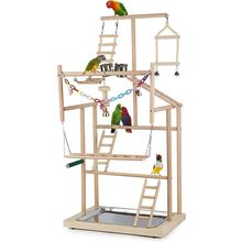 Pet Parrot Playstand Parrots Bird Playground Bird Play Stand Wood Perch Gym Play