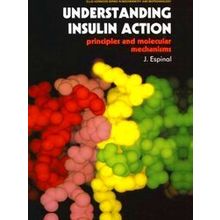 Ettore Majorana International Science Series: Understanding Insulin Action - J.