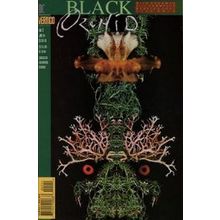 Black Orchid (Vol 2) # 005 NM MODERN AGE COMICS