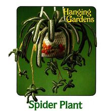 Crochet Spider Plant Hanging Gardens ~ Arching Leaves ~ Basket 4ply Yarn