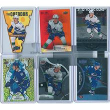 Vasily Podkolzin 19x card lot incl RC's, Inserts