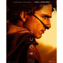 Dune_ Part Two (2024)_2 Movie Film Poster Canvas iconic design