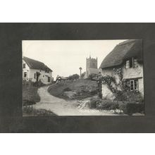 Postcard Devon Lustleigh Village Green Chapman 26218
