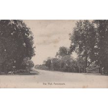 The Mall Ferozepore India Postcard