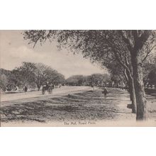 The Mall Rawal Pindi Antique Indian Postcard