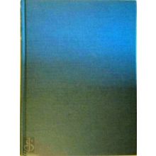 The Viking Achievement - Peter Foote; David M. Wilson