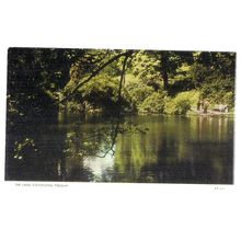 THE LAKES, COCKINGTON, TORQUAY, DEVON unused vintage postcard by Jarrold =