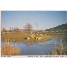 Farleton Sheep Farming Durham Womens Institute Postcard