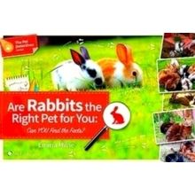 Are Rabbits the Right Pet for You - Can You Find the Facts