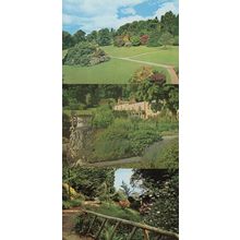 Killerton Gardens Devon 3x Postcard s