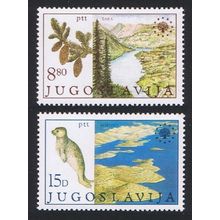 Yugoslavia Monk Seal Trees Nature Protection 2v 1982 MNH SG#2037-2038