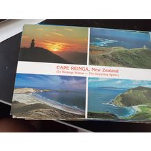 vintage new zealand postcard cape reinga