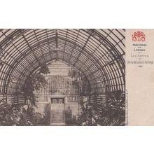 Parc Royal De Laeken Les Serres Serre Du Congo Antique Postcard