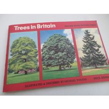 Brooke Bond - Trees In Britain - Complete Album with Picture Cards