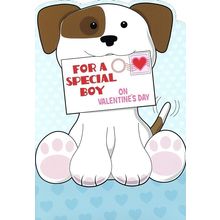 For A Special Boy On Valentine's Day - Valentine's Greeting Card - 22477