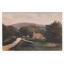 Cranham Woods Gloucestershire Postcard 59066