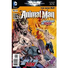 Animal Man (Vol 2) # 011 NM MODERN AGE COMICS