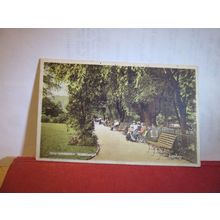 THE GARDENS, BOSCOMBE, BOURNEMOUTH, DORSET used antique postcard 1925 pm =