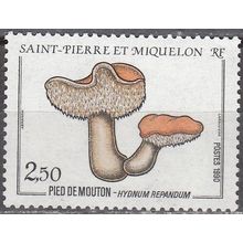 Saint-Pierre & Miquelon 1990 Michel 587 Neuf ** Cote (2007) 1.50 € Champignon