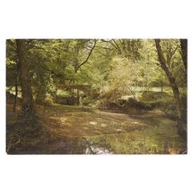HIGHLAND WATER AND ROMAN ARCH, NEW FOREST used postcard 1965 postmark =