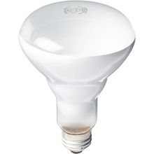 PHILIPS 408662 Soft White 65-Watt Br30 Indoor Flood Light Bulb, 4 Count (Pack of