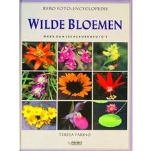 Wilde Bloemen