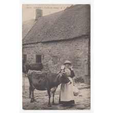 Lady & Cow Jersey Postcard Posted 1905 Local to Janet Desmares Bagot Avenue