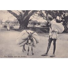 Dhobie & His Donkey India Antique Postcard