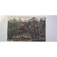 DEER SCENE, HAND TINTED. 1918 - 1933 (388)