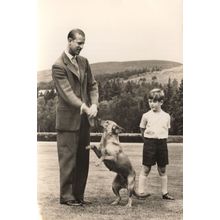 Duke Of Edinburgh Dog Training With Prince Charles Postcard