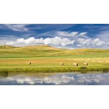 Longview, Crowsnest Highway, Alberta Art Gallery Poster Canvas Print Wall Decora