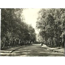 Surrey PURLEY Silver Lane Postcard (Frith PRL 32)