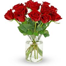 Benchmark Bouquets - 12 Stem Premium Red Roses (Glass Vase Included) - Fresh Flo