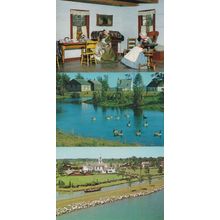 Upper Village Morrisburg Ontario Geese Hotel Cabinet Shop Canada 3x Postcard