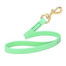 Dog Pet Leash with Brass Hardware W 3/4” L 20”, Sea Foam Green