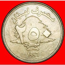 Ⰶ CANADA (1995-2003): LEBANON ★ 250 POUNDS 1996 CEDAR! ★LOW START★NO RESERVE