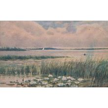 Hickling Broad Norfolk Water Lily Sailing Antique Portrait Postcard