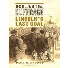 A Nation Divided Black Suffrage