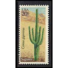1945 20c Saguaro Fine MNH MA0879