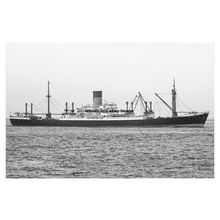 mc3412 - Ex Blue Funnel Cargo Ship - Theseus as Aegis Myth - photograph 6x4