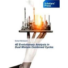 4E Evolutionary Analysis in Dual Mixture Combined Cycles