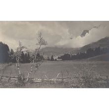 Adelboden Crooked Fence Wonky Tree Old WW1 Switzerland Postcard