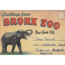 Greetings From Bronx Zoo USA Old Folding Postcard Book