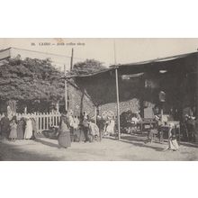 Cairo En Route For The Fields Arab Steet 4x Egypt Old Postcard s