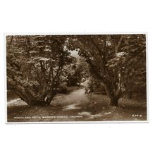 Cromer, Woodland Path, Warren Woods, Norfolk, RP Postcard.