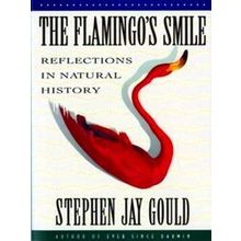 Flamingo's Smile