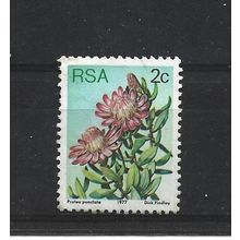 SouthAfrica.SG415 2c Protea Punctata.Fine Used.Sep25k