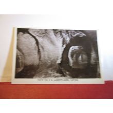 ST. CLEMENTS CAVES, HASTINGS, SUSSEX. unused vintage postcard RP by W & K =